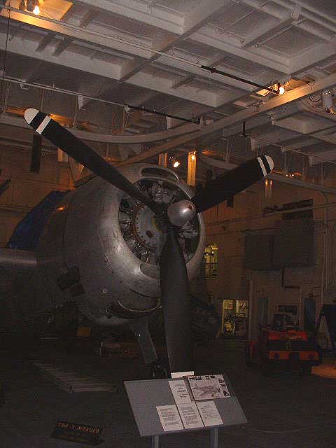 TBM_01.jpg - Cowling after removal of firebomber paint scheme. Process runs from 1999-2003.
